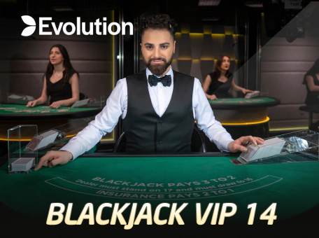  BlackJack  VIP 14